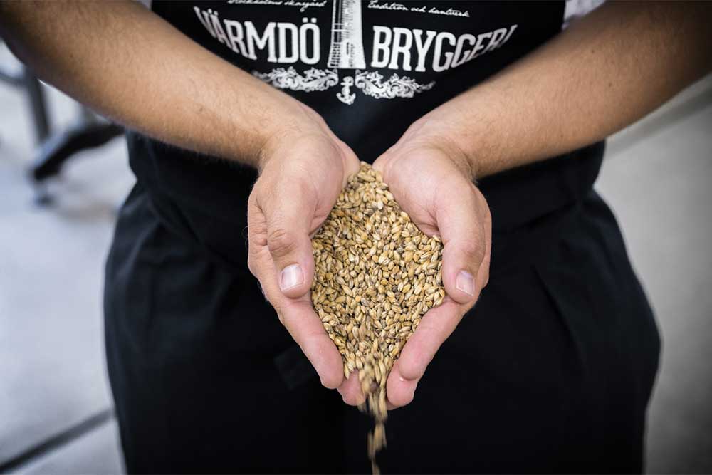Bild från Värmdö Bryggeri provning